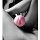 Fleshlight Pink Lady Mini-Lotus