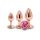 NS Toys Rear Assets - Trainer Kit - Rose Gold - Pink