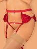 Obsessive Rubinesa garter belt & crotchles tanga  S/M