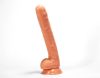 X-Men X-MEN Harry’s 12 inch Cock Flesh