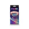 NS Toys Spectra Bondage - Collar &  Leash - Rainbow