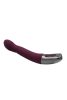 TITANZ 8" SILICONE RECHARGEABLE VIBRATOR IN RUBINE RED