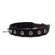 Devil Sticks Octane Crystal Collar Black