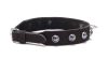 Devil Sticks Octane Crystal Collar Black