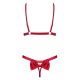 Obsessive Rubinesa 2-pcs set  S/M